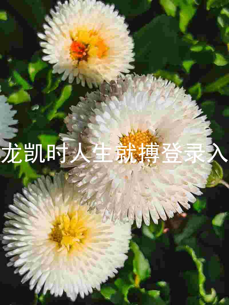尊龙凯时人生就搏登录入口